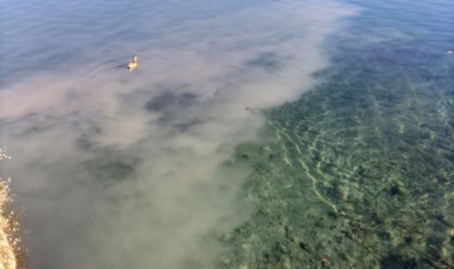 Liquami nel Ticino, rabbia a Sesto Calende