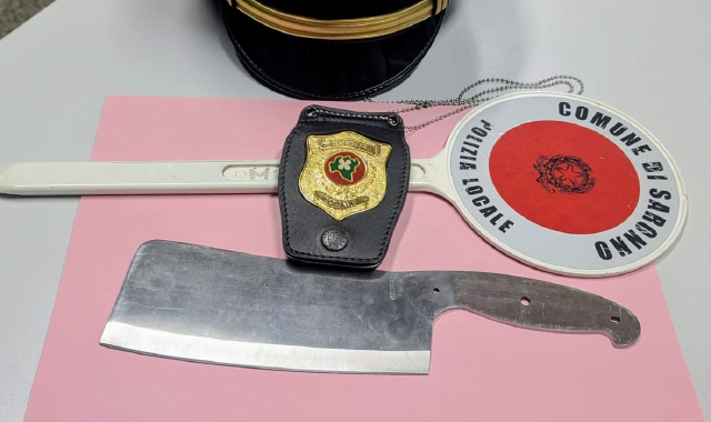 La mannaia di cui era in possesso il quindicenne