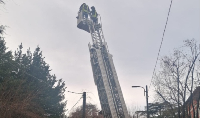 Il salvataggio del gattino in via Canetta