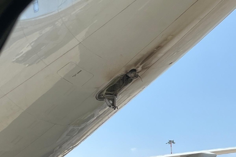 Incidente Latam a Malpensa: errore di peso causò tail strike