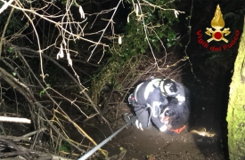 Montegrino, cane nel dirupo: salvato