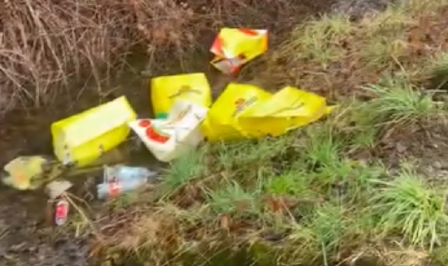 Rifiuti di ogni tipo, accatastati come in una discarica abusiva: è lo scenario che si è trovato davanti ieri il sindaco di Daverio nella roggia Trescaina