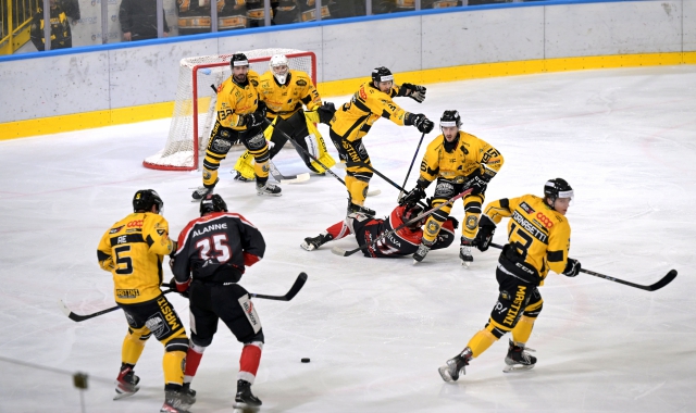 La gara vinta dai Mastini  (Foto Stefano Benvegnù)