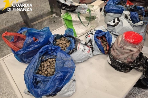 Pesce illegale dalla Cina: sequestrati 4 quintali a Malpensa
