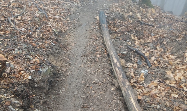 Campo dei Fiori, addio alle piste abusive per le bici