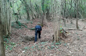 Contrario allo spaccio nel bosco: accoltellato. Due cugini a processo