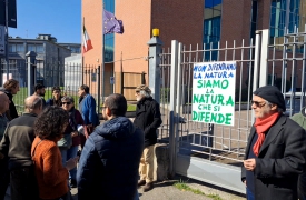 Tanuki fuori dal tribunale: «Siamo la natura che si difende»