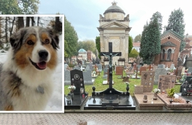 «Le ceneri del cane con la salma del padrone»