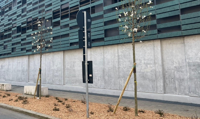 Varese: magnolie all’ombra del multipiano