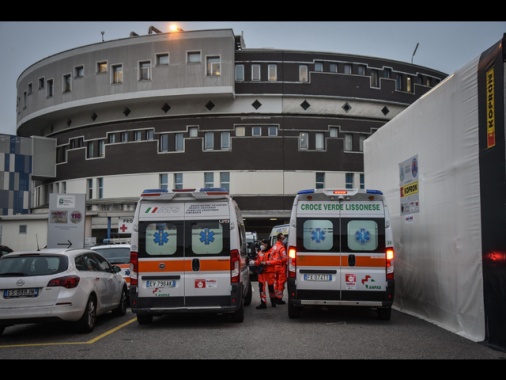 Centro referenza Aviaria, 'contatti paziente in Lombardia sono negativi