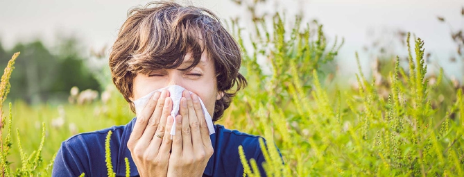 Starnuti di primavera