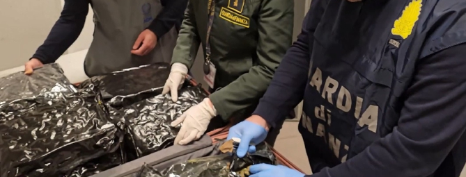 Tg Prealpina, dagli Stati Uniti con 17 chilogrammi di droga