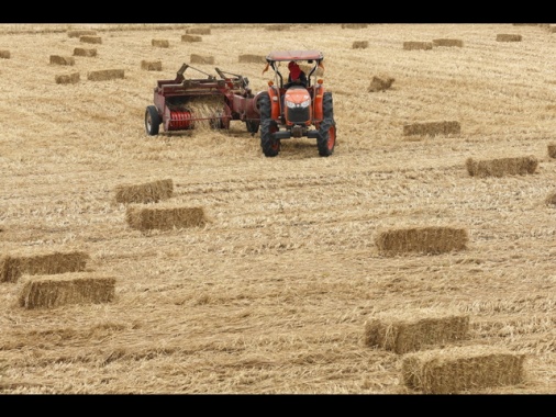 Lollobrigida 'mettiamo credito d'imposta su gasolio agricolo in Dl'