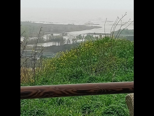 Ponte crollato sul Trigno, Mit 'A14 gratuita per garantire collegamenti'