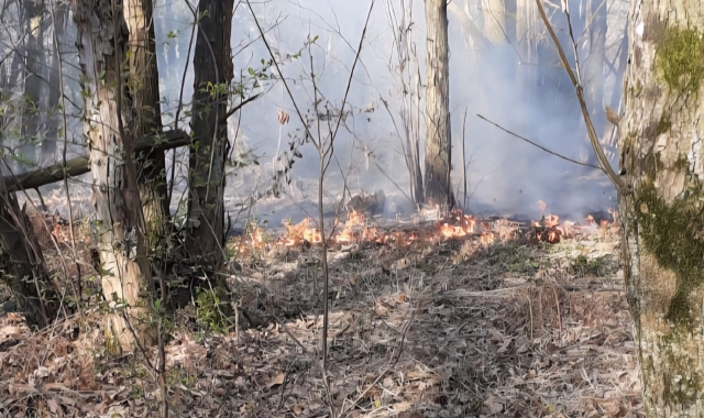 Fiamme nel Parco Pineta: in volo l'elicottero