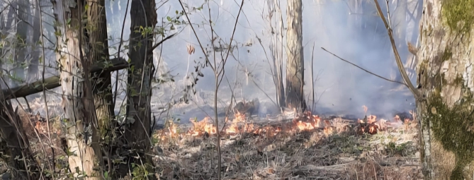 Fiamme nel Parco Pineta: in volo l'elicottero