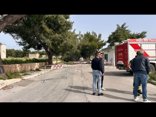 Albero cade per il vento a Bisceglie, muore ragazzina 12enne