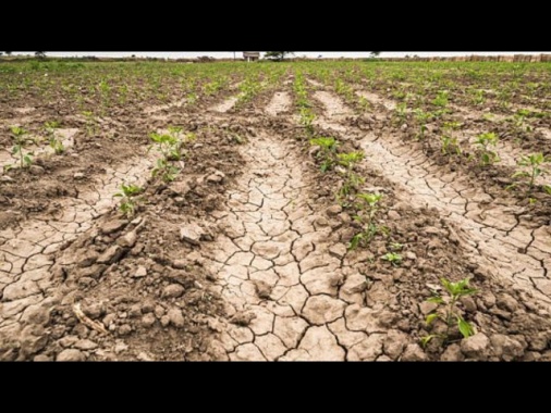 In Ue 156mila chilometri quadrati colpiti dalla siccità, come 6 volte la Sicilia