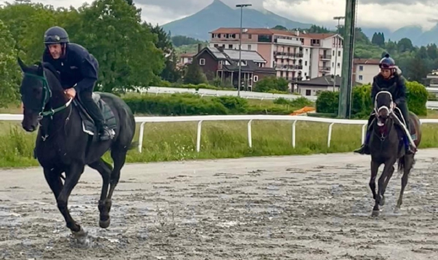 L’ippodromo e l’impasse: «Da qui non ci muoviamo»