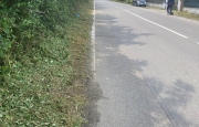 Via le erbacce in via Galvani: «Rimostranze ascoltate»