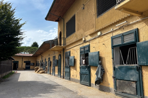Varese, caso scuderie: incontro in municipio