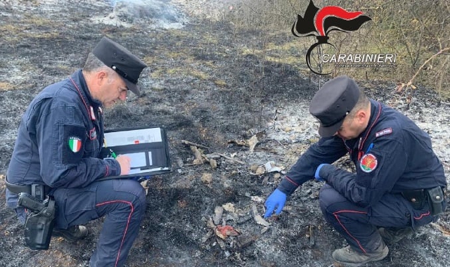 Sul posto sono intervenuti i carabinieri forestali (foto Archivio)