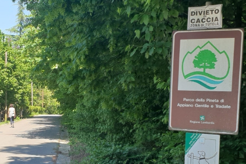 Pedala nel parco, un cane lo azzanna