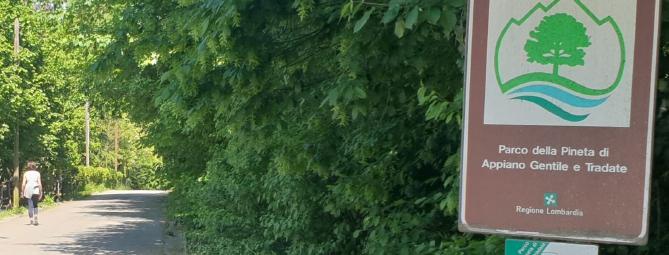 Pedala nel parco, un cane lo azzanna