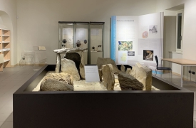 GAM nel sistema Musei Italiani. E il 19 maggio arriva Fontana