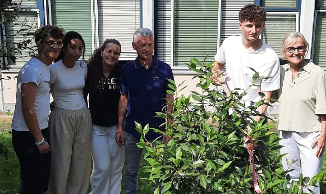 Una camelia e una carezza a Luisella